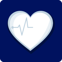 Health Funds Icon